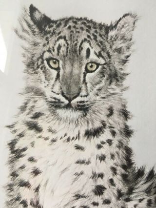 Wildlife 80 ' s Guy Coheleach Snow Leopard Framed Art Print,  Signed RHA Seal 4