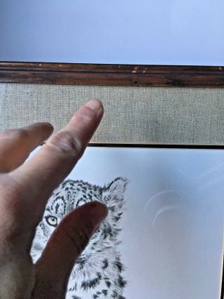 Wildlife 80 ' s Guy Coheleach Snow Leopard Framed Art Print,  Signed RHA Seal 5