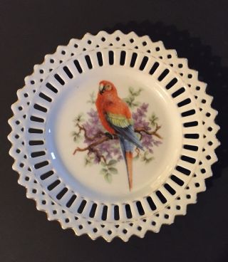 Antique Bavaria Schumann Reticulated Cabinet Plate Hp Parrot - 1918 - 29