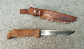 G.  C.  & Co.  Fishing Knife & Leather Sheath - Sweden (vintage Fixed Blade Hunting)