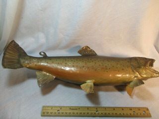 Vintage Taxidermy Trout Fish Wall Decor Real Skin Mount Old Antique 1970s Bass