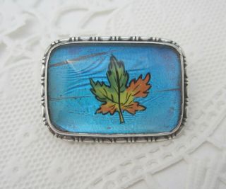 Antique Sterling Silver Morpho Butterfly Wing Brooch With Maple Leaf Hgk England