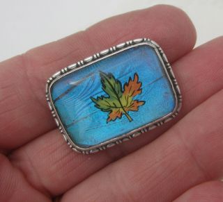Antique Sterling Silver Morpho Butterfly Wing Brooch with Maple Leaf HGK England 3