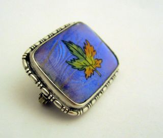 Antique Sterling Silver Morpho Butterfly Wing Brooch with Maple Leaf HGK England 5