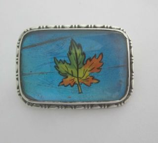 Antique Sterling Silver Morpho Butterfly Wing Brooch with Maple Leaf HGK England 6