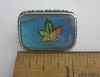 Antique Sterling Silver Morpho Butterfly Wing Brooch with Maple Leaf HGK England 8