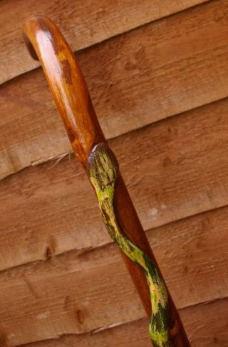 Novelty Walking Stick With Hand Carved Snake.
