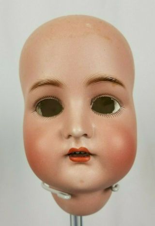 Antique Large German Simon Halbig K R Bisque Socket Doll Head Kammer Reinhardt