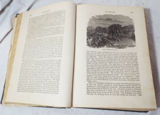 Antique 1871 BINGLEY ' S NATURAL HISTORY Book Rev.  W.  Bingley ZOOLOGY Animals 5