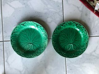 Pair Antique Wedgwood Green Cabbage Leaf Majolica 8 " Plates