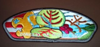 2016 Concilio De Puerto Rico Boy Scout Council " Uvaplaya " Floral Csp
