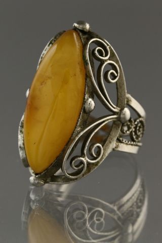 Vintage Antique Massive Baltic Amber Butterscotch 9 Ring 6.  7g 190711 - 2
