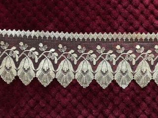 Antique Silk Blonde Lace Edging 2 Yards By 3 1/8 "