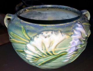 Antique Vintage Roseville Pottery Freesia Green Jardiniere 669 - 4