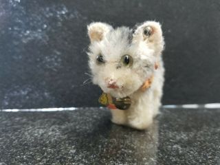 Steiff Antique Mohair Tabby Cat W Bell & Shield And Ear Button