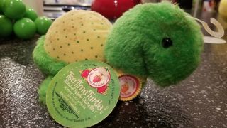 Vintage Strawberry Shortcake Tea Time Turtle Plush W/tags Kenner Ssc