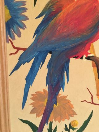 Mid Century Vintage 1950’s Paint By Number Parrot Rainforest Flowers & Bird 4