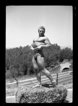 3 Each Vintage 1948 Bruce Of Hollywood Male Nude Jack Delinger Muscle Negatives