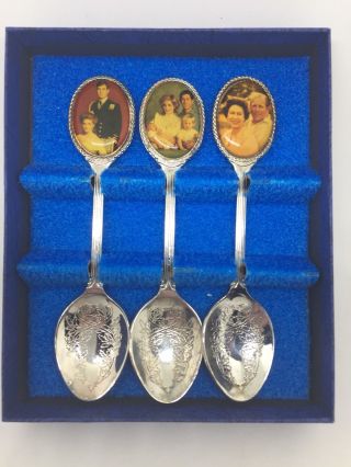 Prince Charles Diana William Harry Royal Family Souvenir Spoon Set