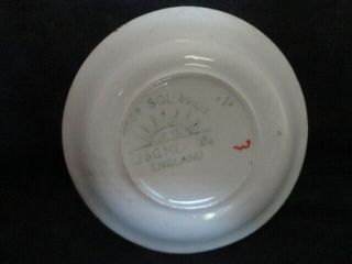 Vintage J & G Meakins England Radiant Pattern Porcelain China Butter Pat 2
