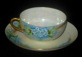 Antique Hand Painted Tea Cup Saucer Blue Forget Me Knot Flowers 1920