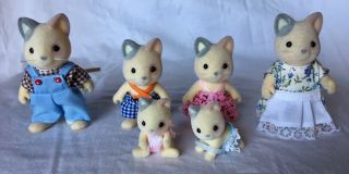 Calico Critters/sylvanian Families Whisker Cat Family Of 6 With Twin Babies