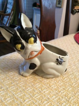 Antique Vintage Boston Terrier Dog W Fly Glazed Ceramic Planter - Hard To Find