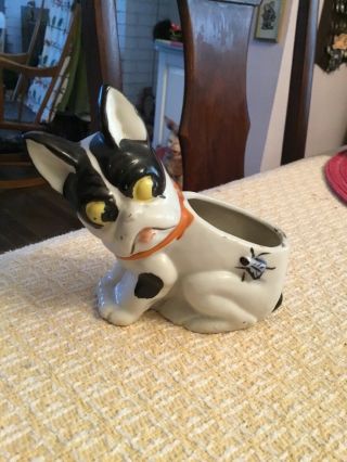 Antique Vintage BOSTON TERRIER Dog w Fly Glazed Ceramic Planter - Hard To Find 2