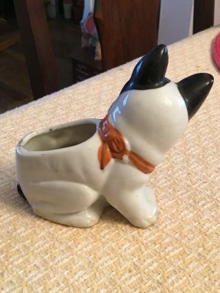 Antique Vintage BOSTON TERRIER Dog w Fly Glazed Ceramic Planter - Hard To Find 6
