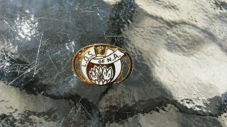 Zenobia Shriner Mason Masonic Freemason Brooch Pin Losna W/ Jewel Jewelry
