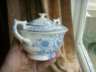 Old Antique English Blue And White Transfer Ware Sucre Tureen Floral C.  1830 Fine