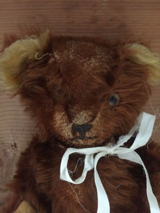 Old Vintage Antique Teddy Bear Two Tone Long Mohair 11” Jointed