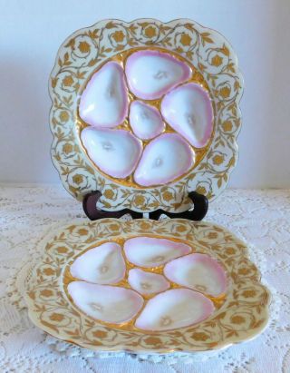 Two Gorgeous Antique Royal Vienna Pink & Gold Oyster Plate Plates 5 Well 8 5/8 "