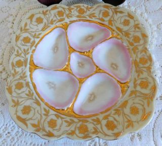 Two Gorgeous Antique Royal Vienna Pink & Gold Oyster Plate Plates 5 Well 8 5/8 