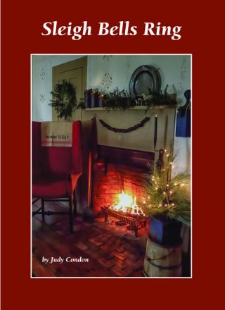 Sleigh Bells Ring Judy Condon 2016 Holiday Book Nr