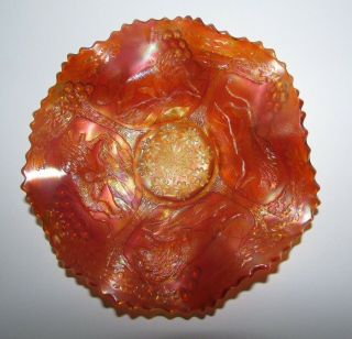 Scarce Fenton Lions Antique Carnival Glass Bowl In Marigold - Good Color 103