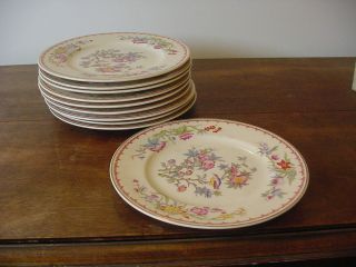 Syracuse Old Ivory China Bombay Antique Set Of Ten Luncheon Plates