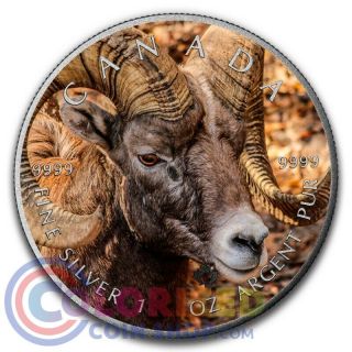 2016 Canada $5 Maple 1 Oz Silver Bighorn Colorized Antique Coin Small Scratches