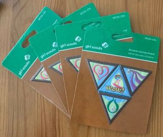 Official Girl Scout “wow Wonders Of Water” Brownie Journey Award Set Pack Of 4