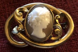 Antique Victorian 1890’s Gold On Metal Greek Roman Shell Cameo Brooch Pin 45mm