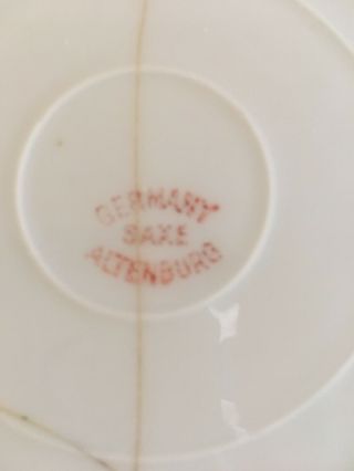Rare/Antique Germany Saxe Altenburg Floral Porcelain Plate Circa 1800 ' s 3