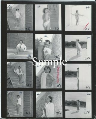 1 Legendary U.  K.  Model June Palmer - Vintage Contact Sheet Of 12 Images - Nudes