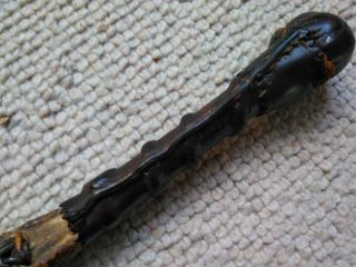 Antique Leather Horse Whip Hoof 4