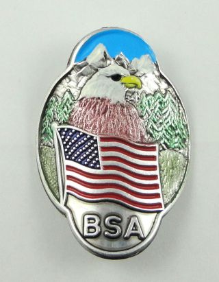 Boy Scouts Of America Eagle & Flag Hiking Staff Medallion/shield - Bsa