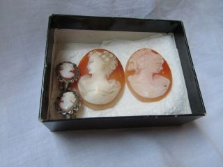 Two Antique Vintage Carved Shell Cameo Panels & Pair Silver Cameo Earrings