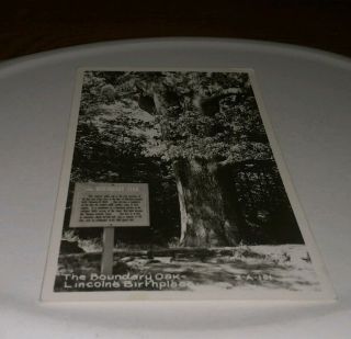 Vintage Postcard The Boundary Oak Abraham Lincoln 