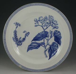 Antique Pottery Pearlware Blue Transfer Wedgwood Botanical Series 10 " Plate 1820