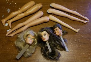 Vintage Barbie American Girl Doll Heads & Ken Head Legs