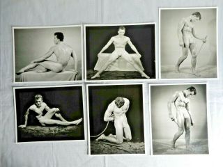 Steve Wengryn,  Set Of 8x10 Photos,  Western Photography Guild,  Male Nude Physique