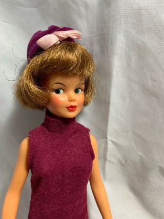 Vintage Tlc 1965 Grown Up Ideal Tammy Doll Brown Pageboy Hair,  Outfits